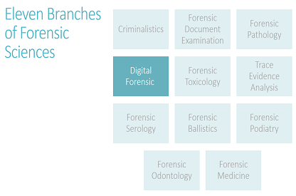 Why Digital Forensics is Important to Executives